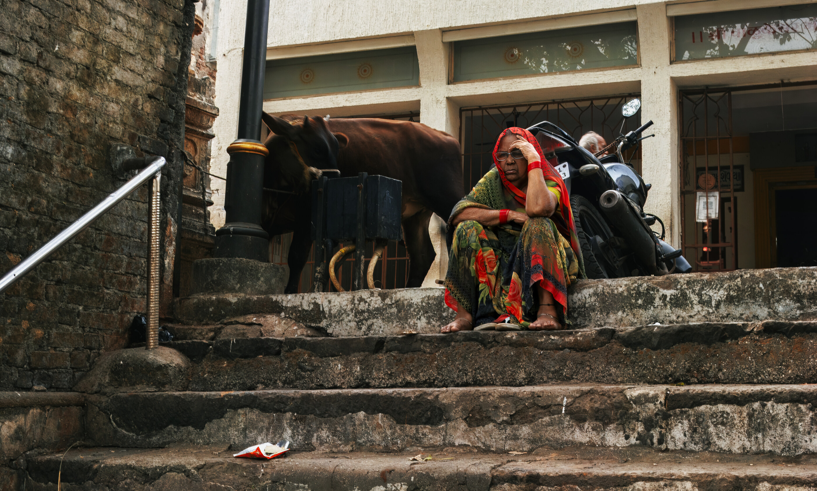 Stone steps in India with a cow or buffalo standing on them and a single figure tending to it. Plural subjects sharing the frame — animal, human, place. The scene is travel-essay India.