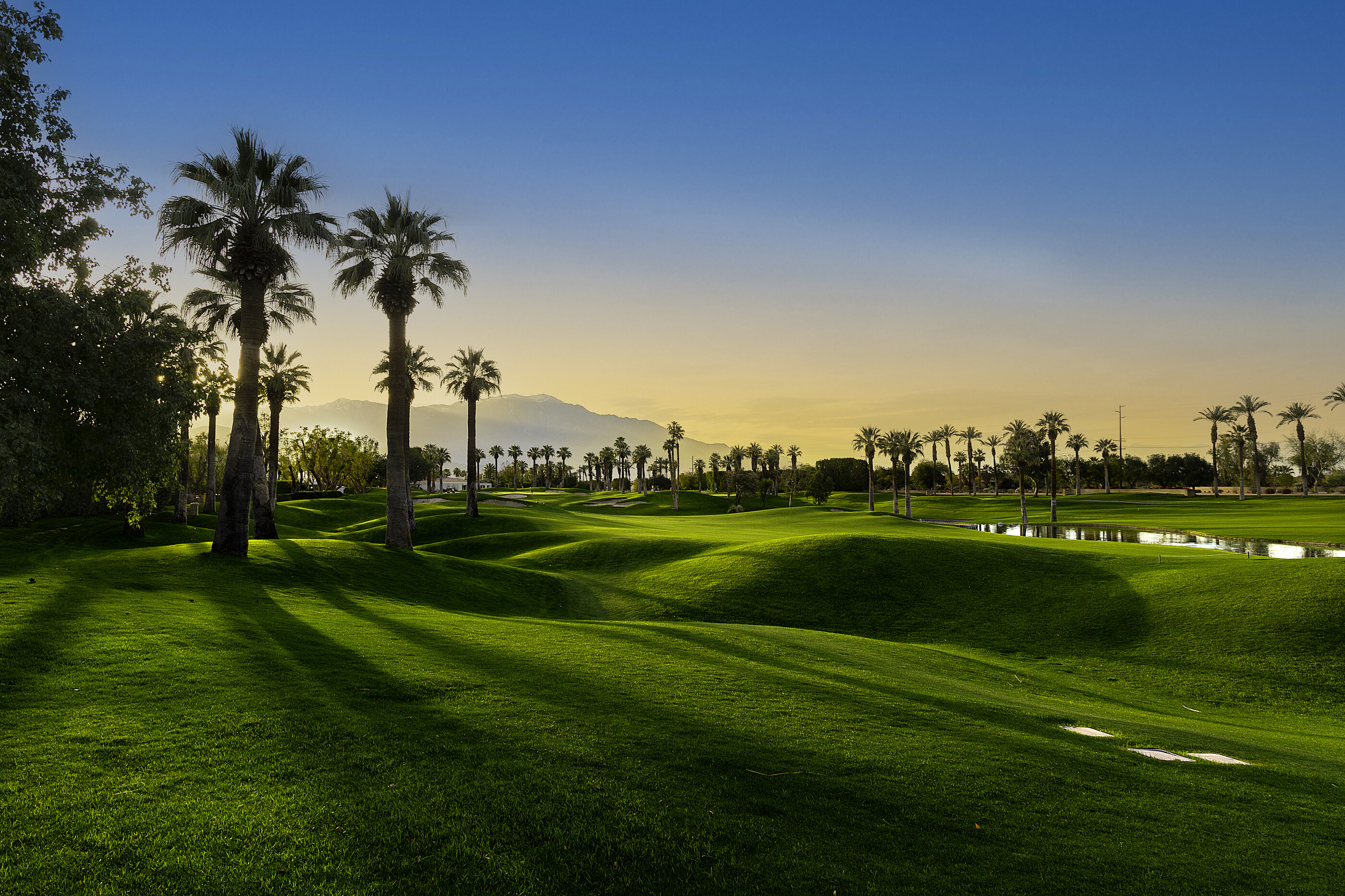 A manicured golf-course fairway curving away in golden hour light, palm trees at the edge. No people. The designed landscape itself is the subject — a 'found' choreographed place.