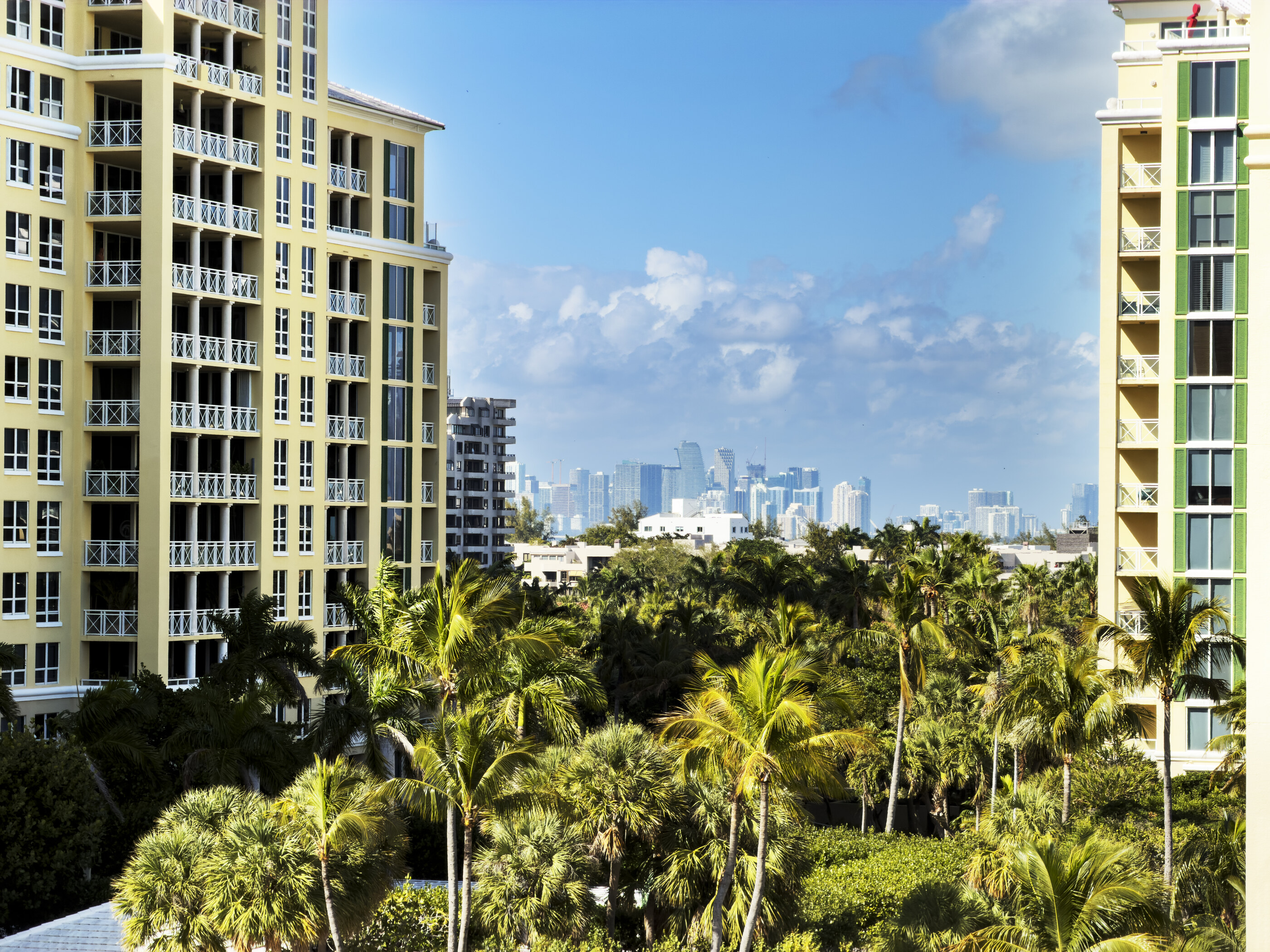 A tropical resort scene with palm trees, a multi-storey condo building, and a distant skyline of a city across water. No dominant person. Built form integrated into a tropical setting.