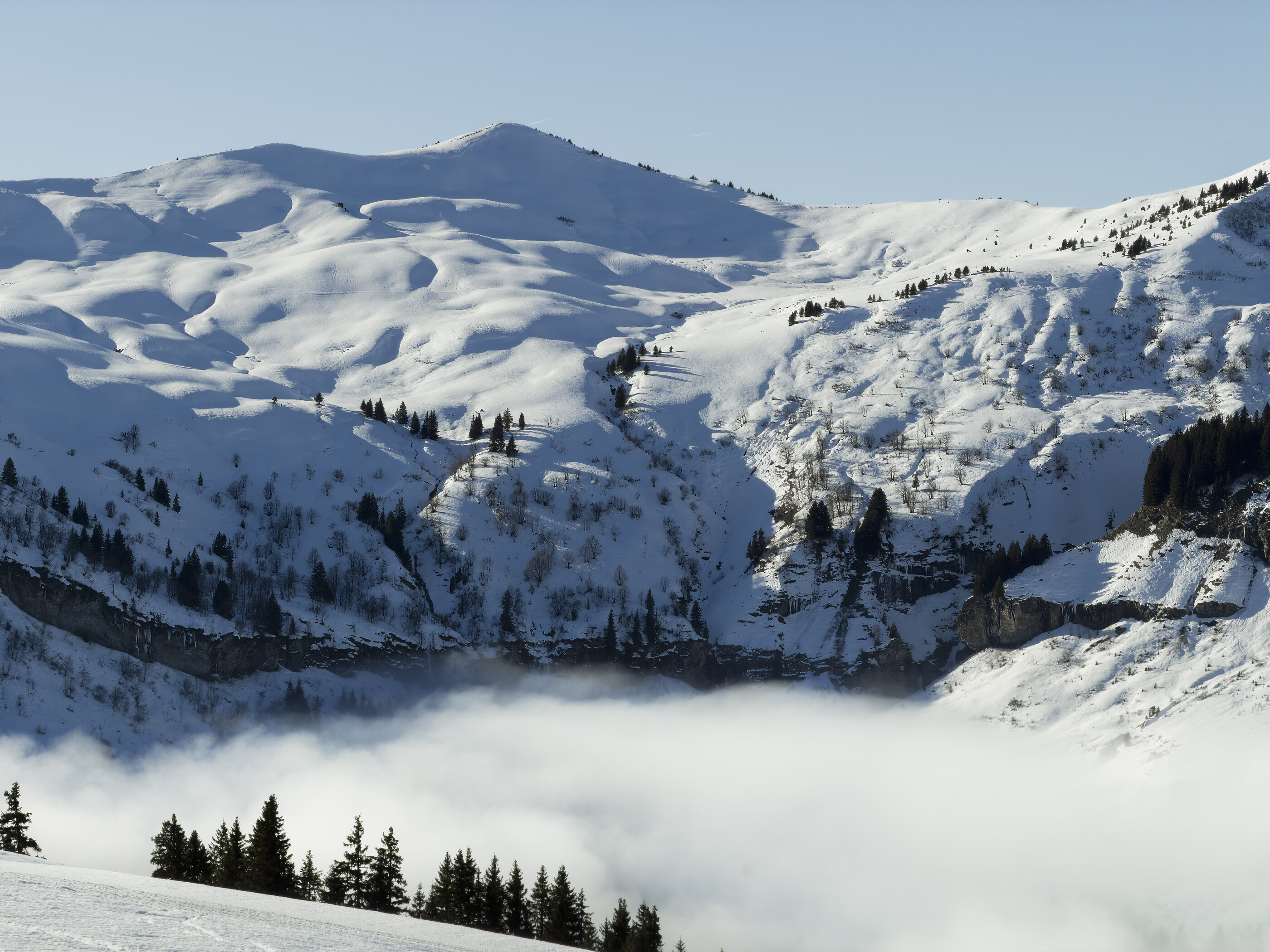 A wide snowy mountain valley with fog hanging in the lower parts and pine forests on the slopes. No people. Vast place.