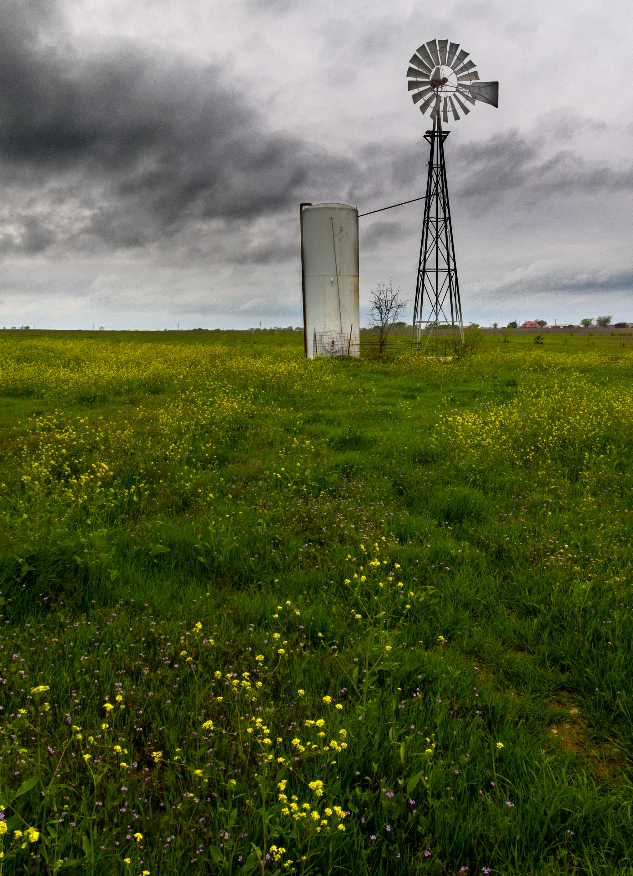 A solitary windmill in a green field of grasses under heavy grey clouds. No people. The built object — the windmill — is the subject; classic 'found' compositional vertical.