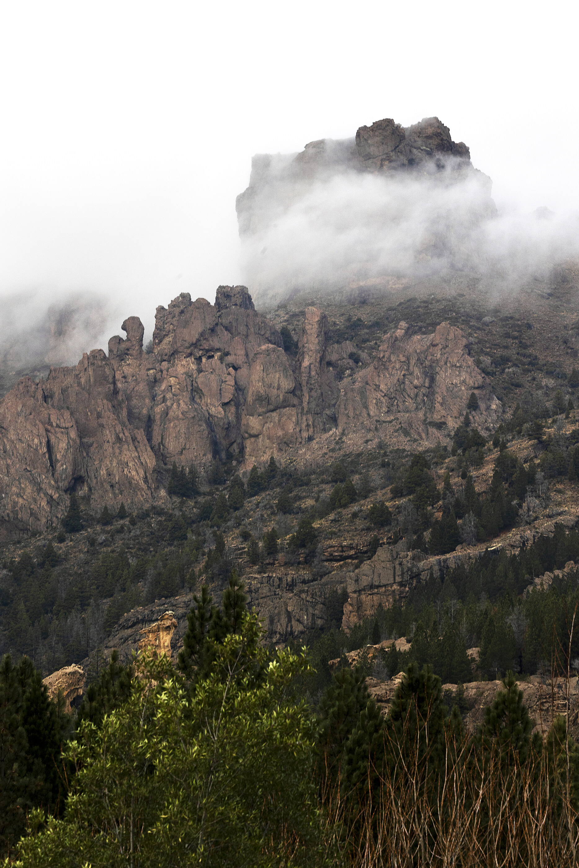 A mountain ridgeline shrouded in cloud and mist with bare forest in the foreground. No people. The mountain at scale is the subject.
