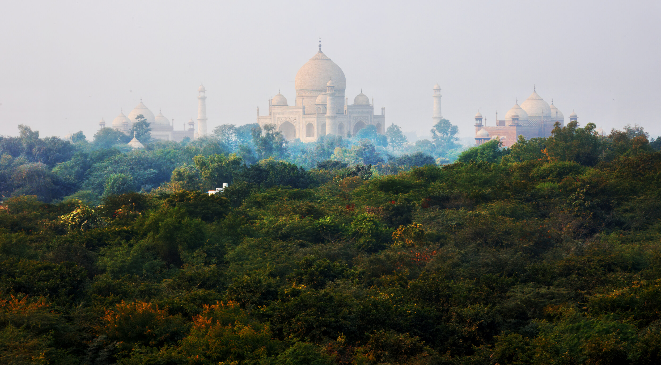 The Taj Mahal seen across green foreground vegetation under a misty sky, monument framed by trees. The Taj is a mausoleum — religious context. The photograph is about reverence for the monument.