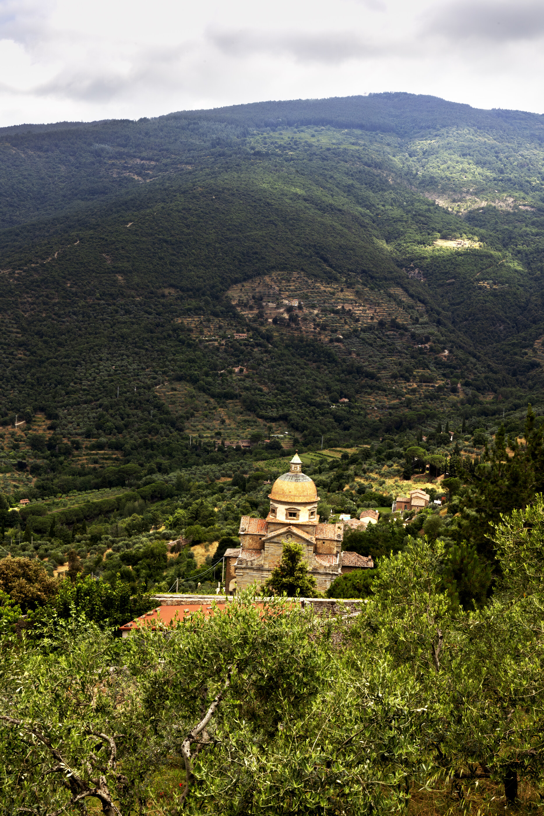 A hillside in Asia with a small yellow temple structure tucked into greenery, distant landscape behind. The temple in the landscape is the subject; the photograph is about a sacred site.