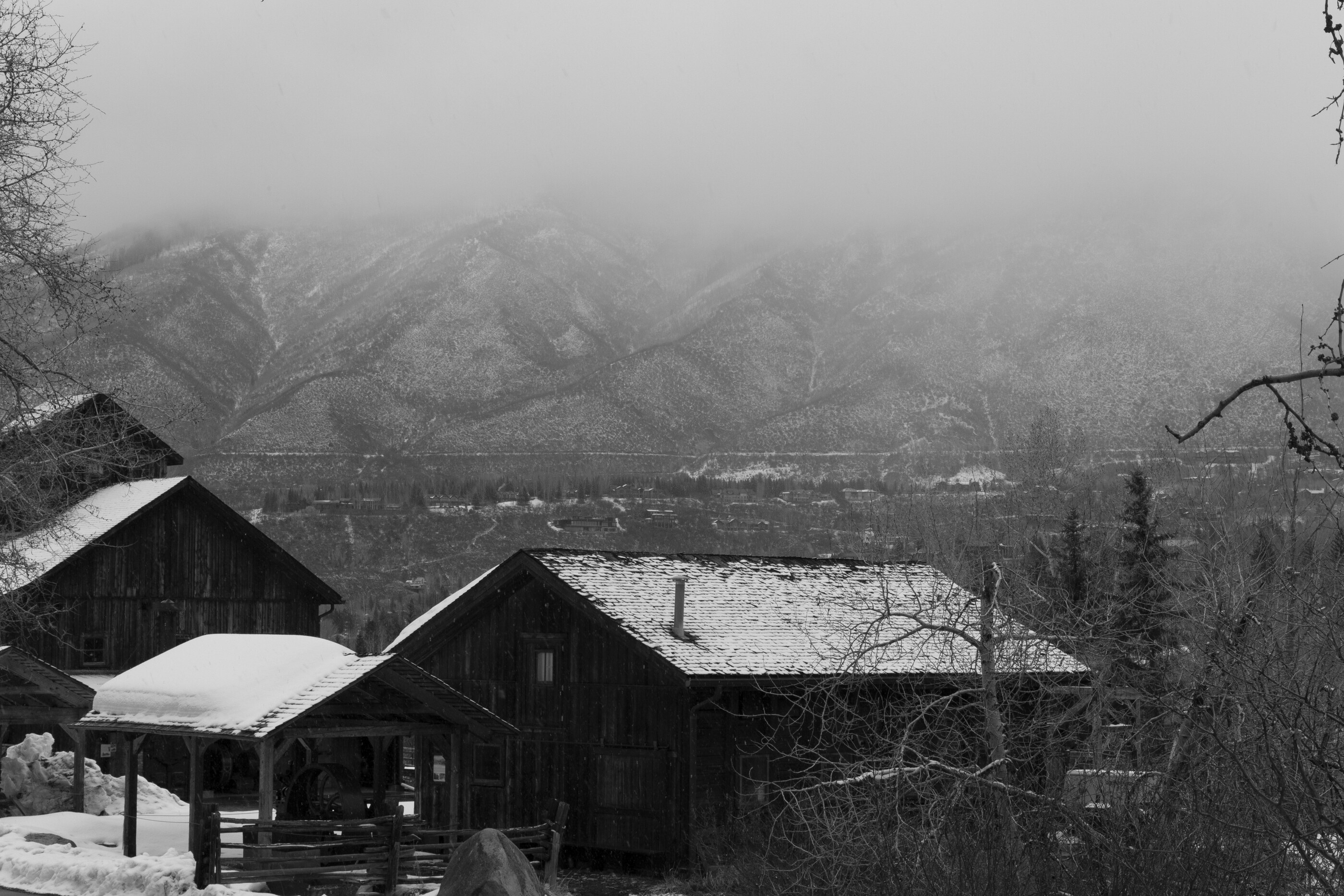 A small wooden house in a snowy forest under bare birch trees, photographed in black-and-white. No people. Quiet rural winter scene; slow time.