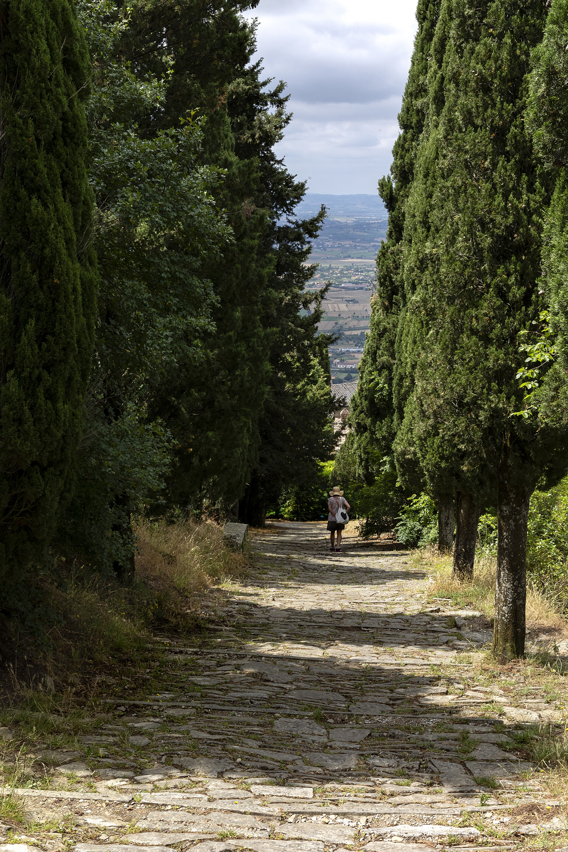 A narrow tree-lined path climbs through tall cypress-like trees with a small figure or two far in the distance. The path and the avenue of trees dominate; figures are tiny. Quiet rural moment.