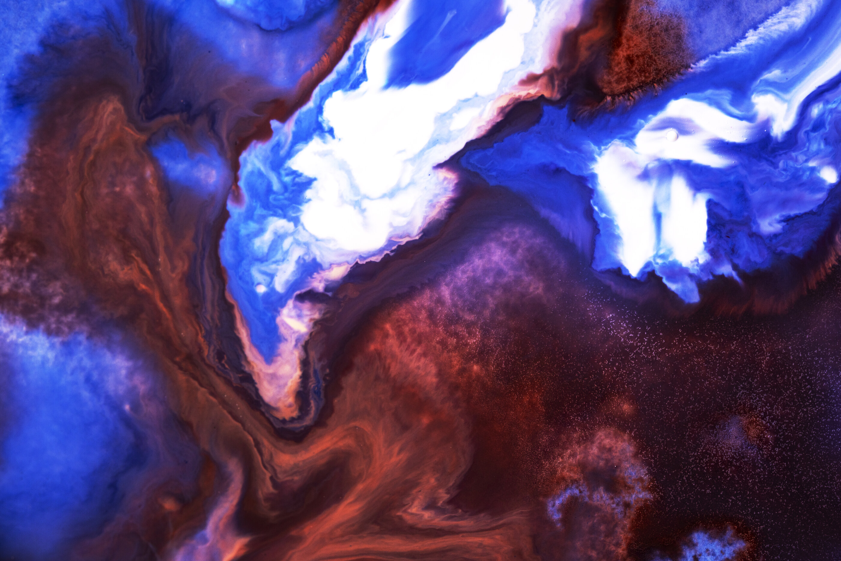 Abstract paint composition: watercolor and acrylic, thinned with water and isopropyl alcohol, poured onto marker paper and photographed at macro scale.